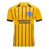 Officiële Voetbalshirt Brighton Hove Albion Uit 2024-25 - Heren